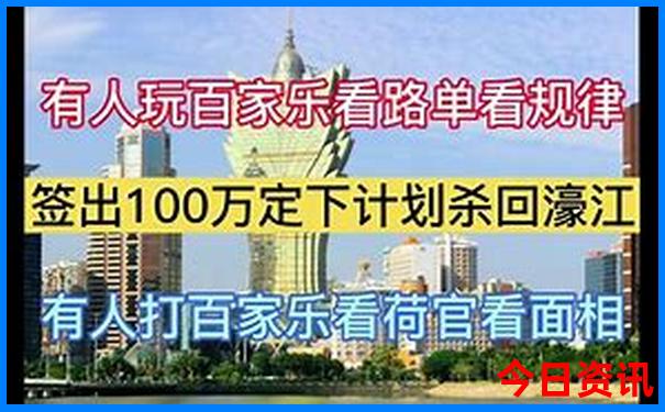 3510网站资料查询神马